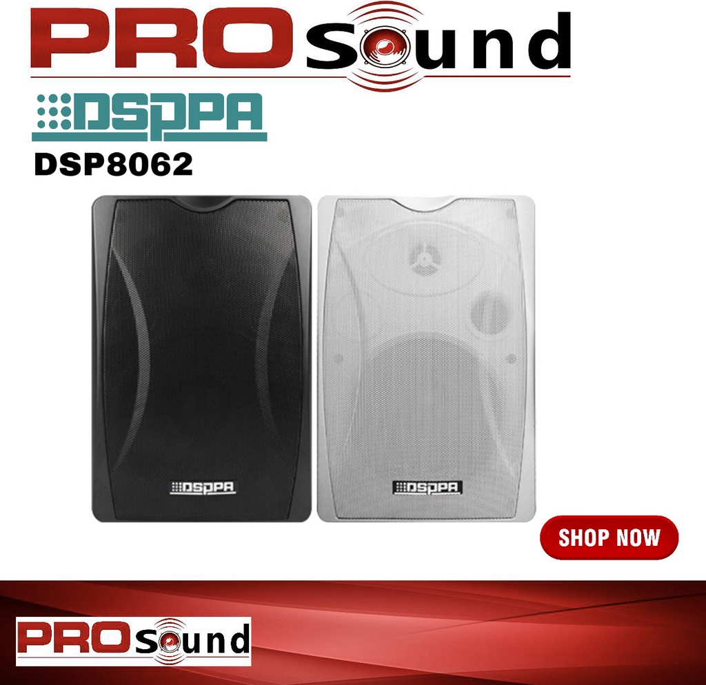 DSP8062 Wall Mount Speaker
