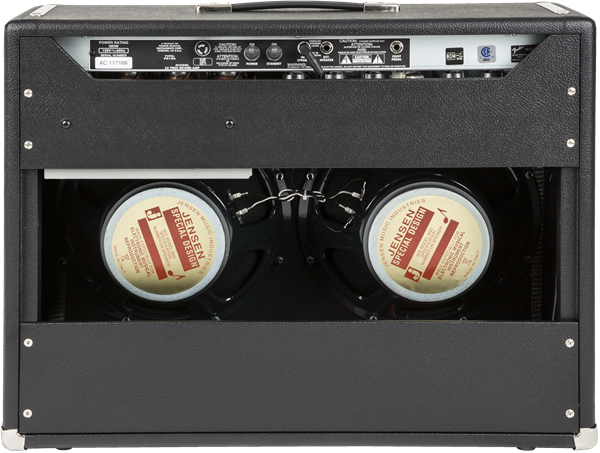65 Twin Reverb