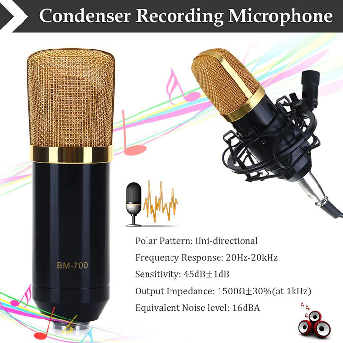 Professional Legendary vocal BM700