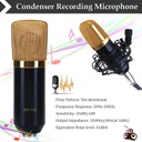 Professional Legendary vocal BM700